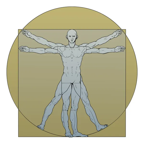 Vitruvian Man — Stockový vektor