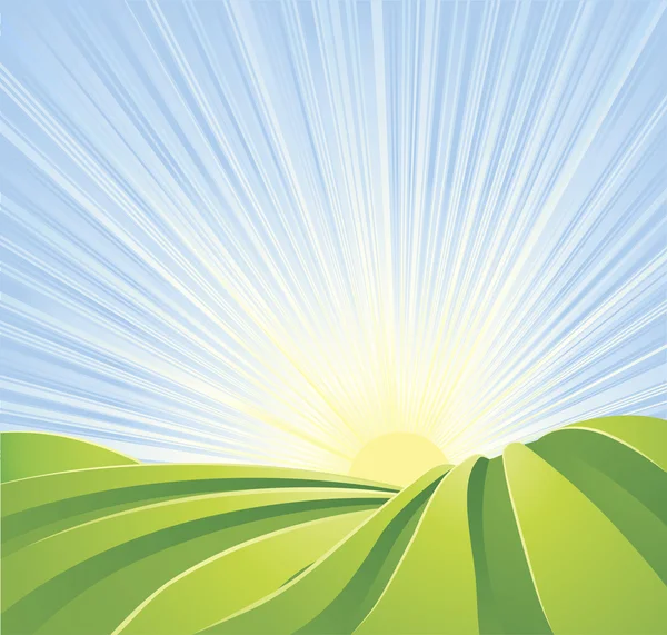Champs verts idylliques avec rayons de soleil et ciel bleu — Image vectorielle