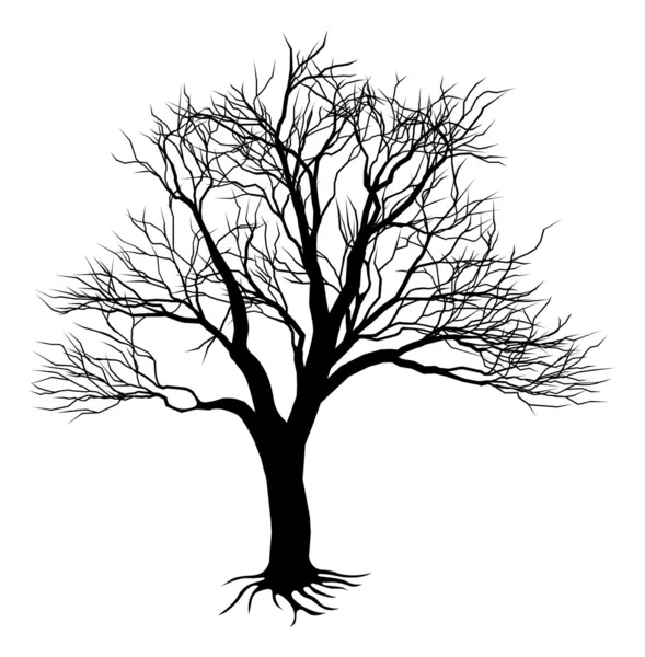 Silueta de árbol desnudo — Vector de stock