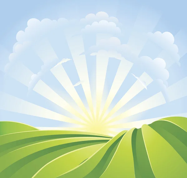 Campi verdi idilliaci con raggi di sole e cielo blu Illustrazione Stock