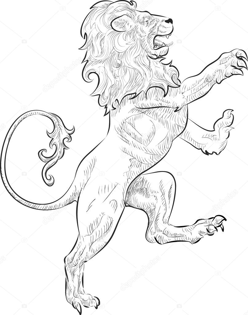 Lion Illustration — Stock Vector © Krisdog #6575897