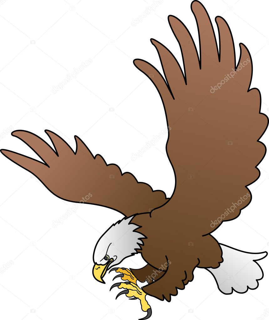 Illustration of bald eagle with spread wings