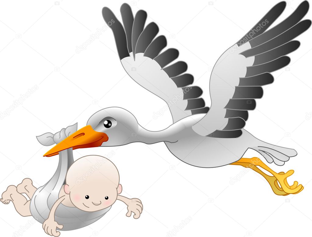 Stork delivering a newborn baby
