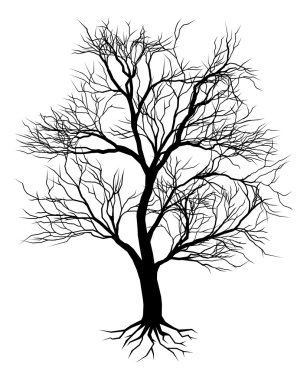 Hand drawn old tree silhouette clipart