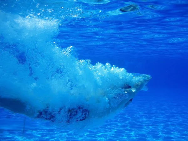 Záhlaví mladík potápění po hlavě do bazénu — Stock fotografie