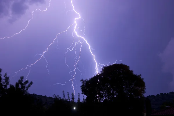 Blitzschlag in der Nacht in der Nähe von Baum — Stockfoto