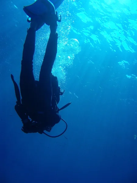 Mergulhador contra superfície — Fotografia de Stock