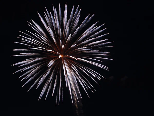 Explosão de fogo de artifício azul único à noite — Fotografia de Stock