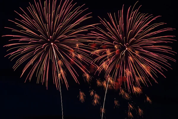 Palma come fuochi d'artificio di notte — Foto Stock