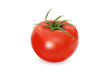 Tomato vector clipart