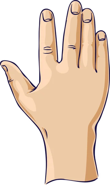 Hand raised in an open hand gesture — Stock Vector