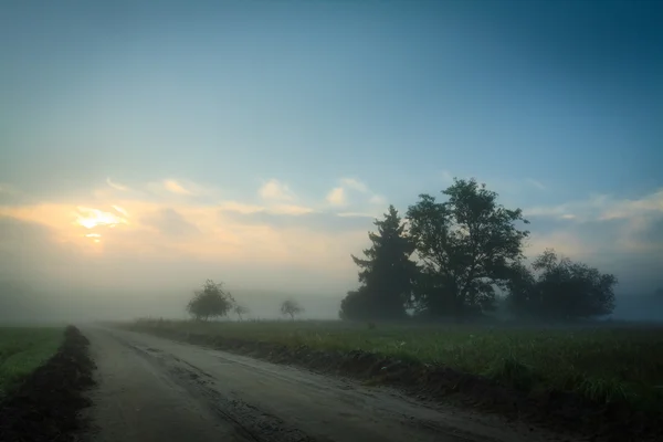 Foggy footpath in morning — Stock Photo, Image