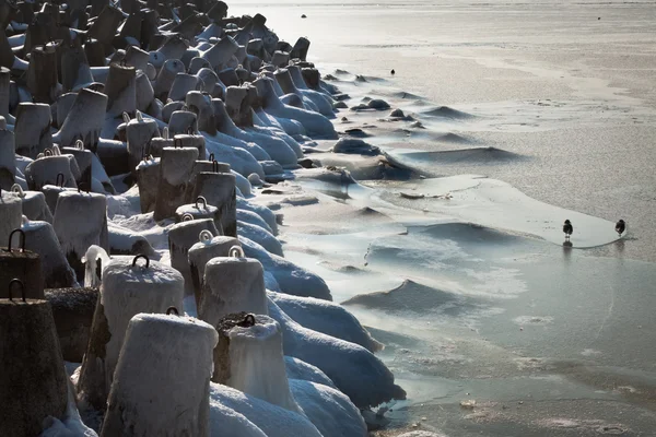Замерзающий пирс из бетона на берегу моря — стоковое фото