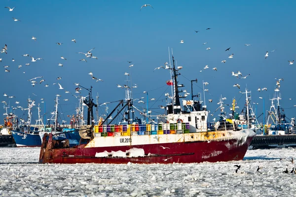 Forezen łodzi z seagull w porcie — Zdjęcie stockowe