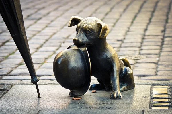 Stock image Bronze dog statue in cobblestone