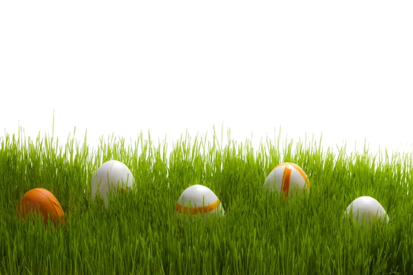 Five easter Eggs on green grass on white background — Stock Photo, Image