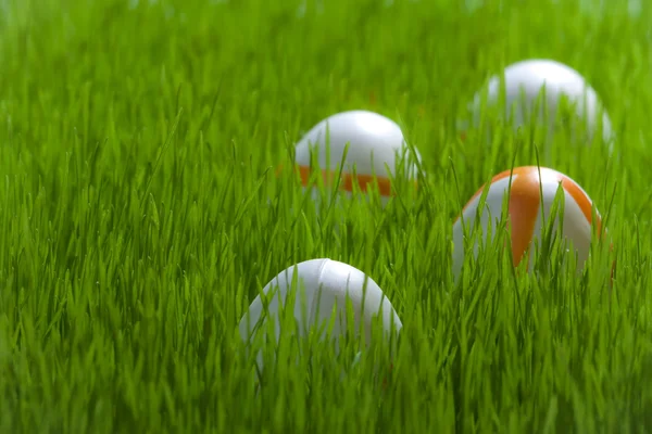 Cuatro huevos de Pascua sobre hierba verde joven — Foto de Stock