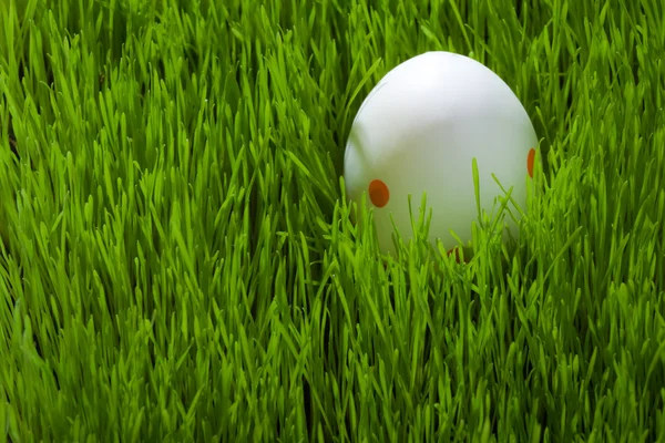 Un ou de Paște pe iarbă verde tânără — Fotografie, imagine de stoc