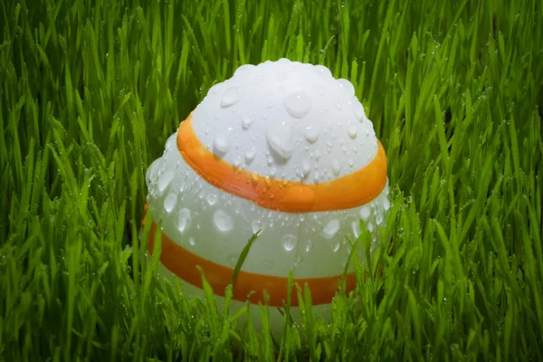 Jeden easter vejce na zelené trávě na bílém pozadí s vodou dr — Stock fotografie