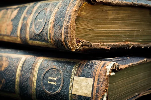 Due volumi libri rilegati in pelle antica — Foto Stock