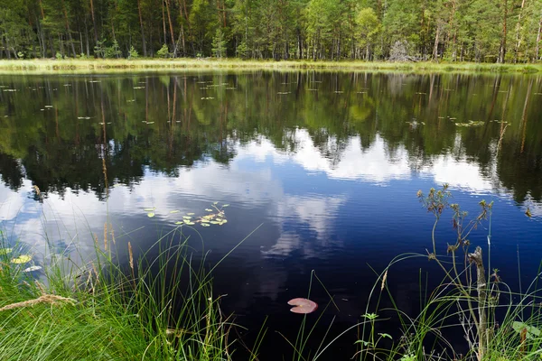 Reflexão de nuvens no lago perto do parque nacional — Fotografia de Stock