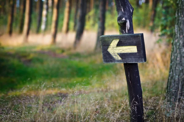 Yellow sign in the forest — Stock Photo, Image