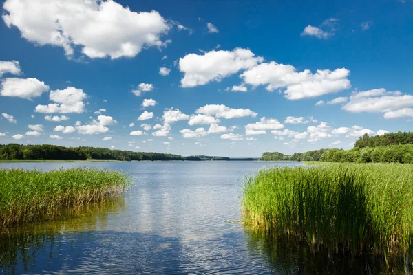 Sommar Visa vid sjön i parken — Stockfoto