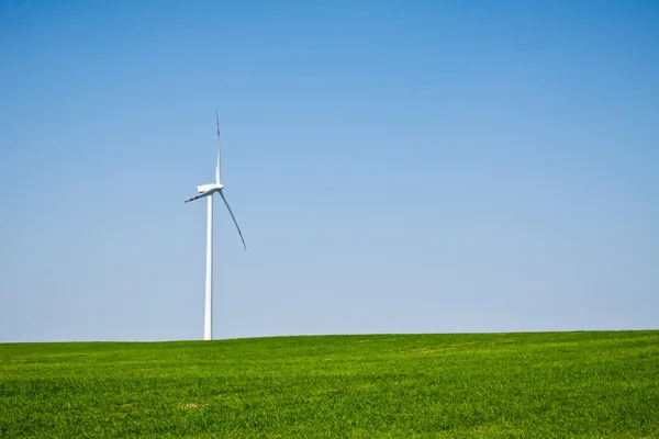 Windturbine aan groene veld — Stockfoto