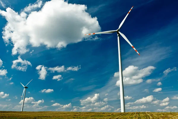 Вітрові турбіни на золотому полі з блакитним небом — стокове фото