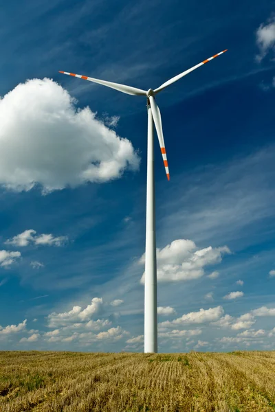 Windturbines op goud veld met blauwe hemel — Stockfoto