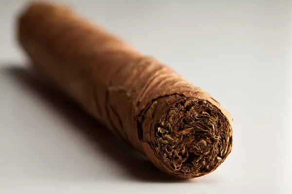 Сигара на білому тлі — стокове фото