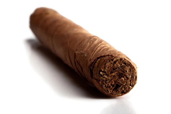 Cigar on white background — Stock Photo, Image