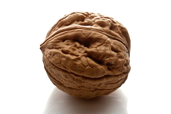 stock image Macro walnut on white background