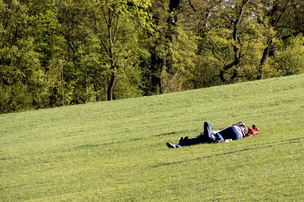 stock image A pair resting in the grass of Sch