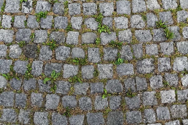 草と石造りパターン — ストック写真