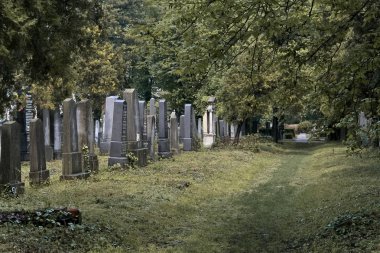 Almost untended cemetery section clipart