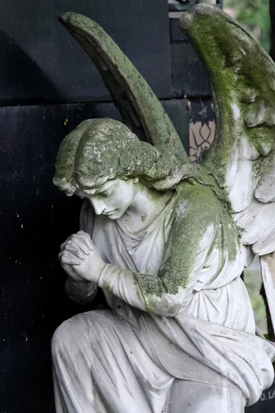Praying angel — Stock Photo, Image