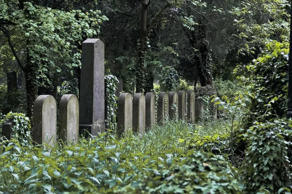 Nameless jewish graves — Stock Photo, Image