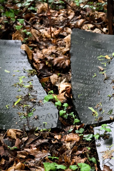 Törött zsidó tombstone — Stock Fotó