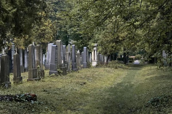 Sección del cementerio casi desatendida — Foto de Stock