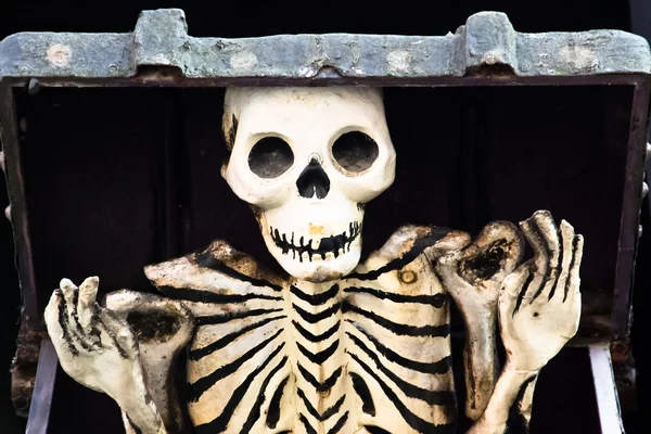 Esqueleto fora da caixa — Fotografia de Stock