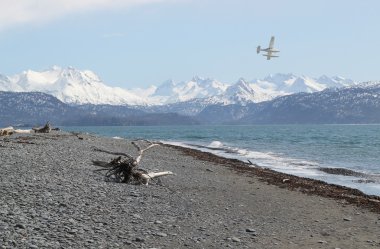 Alaskan beach with floatplane clipart