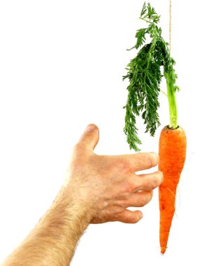 Reaching for the carrot clipart