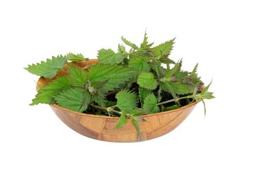 Bowl of stinging nettles, isolated clipart