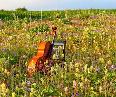 Cello in a meadow clipart