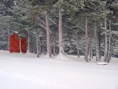 Wooden Alaskan outhouse in a snowstorm clipart