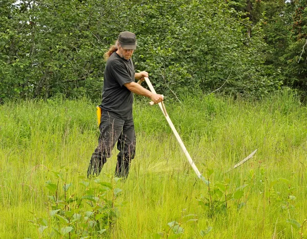 Gröna sätt att klippa gräsmattan — Stockfoto