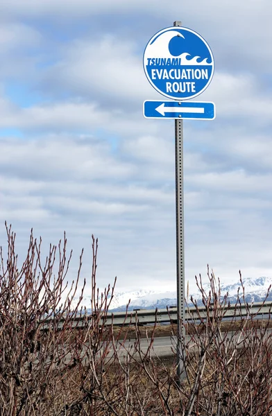 Tsunami tahliye yol işareti — Stok fotoğraf