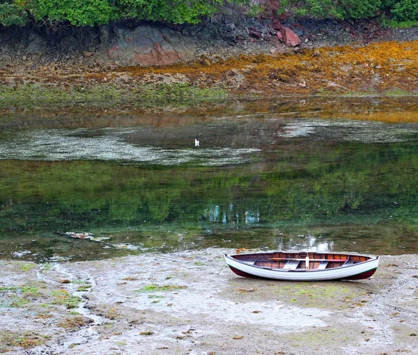 木质小船在沼泽中 — 图库照片