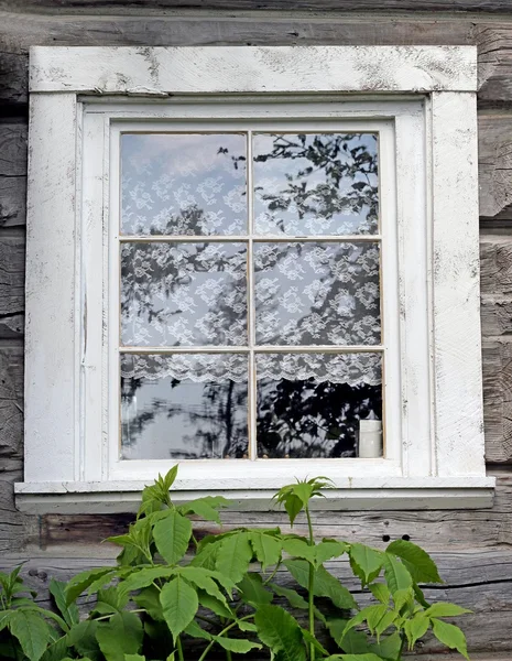 La finestra della nonna — Foto Stock